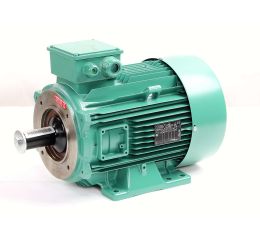 ELECTRIC MOTOR 4P 11KW 132M 20