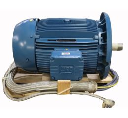 ELECTRIC MOTOR 22.3-75kW 113-380V 25-118Hz