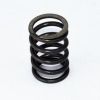 CASE AFTERMARKET SPRING