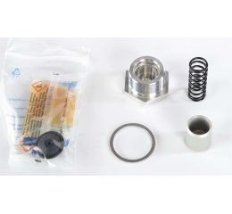 TW RELIEF VALVE KIT