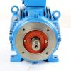 WEG ELECTRIC MOTOR 15.0KW-132-40