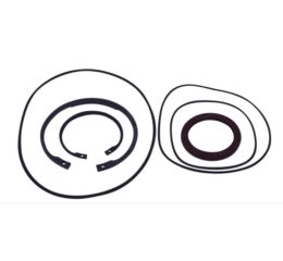 MOTOR SEAL KIT TYPE V F12-060