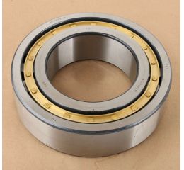 CYLINDRICAL ROLLER BEARING 250MM OD