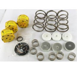 FLUID END REPAIR KIT for DP80-20