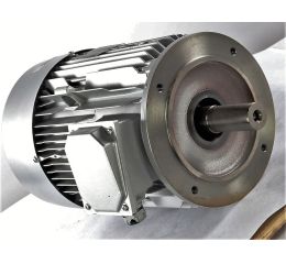ELECTRIC MOTOR 5.5kW 400/690V  50/60Hz: LSES132SM