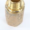 GARDNER DENVER CHECK VALVE