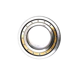 CYLINDRICAL ROLLER BEARING 100mm OD
