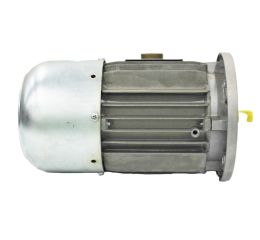 IEC ASYNCHRONOUS IE1 3-PHASE ELECTRIC MOTOR