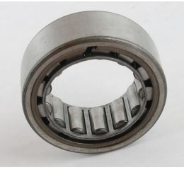 CYLINDRICAL ROLLER BEARING OUTER & ROLLERS 52mm OD