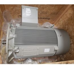 ELECTRIC MOTOR 315 kW 400V 50Hz