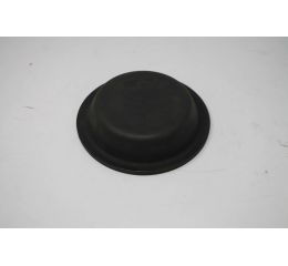 T24 DIAPHRAGM