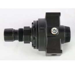 PRESSURE REGULATOR VALVE 1/4in NPT 15-250PSI