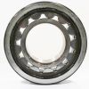 SKF CYLINDRICAL ROLLER BEARING 190mm OD