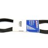 AC DELCO V-RIBBED BELT