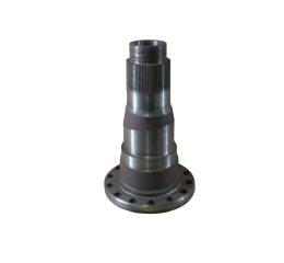 SPINDLE