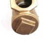 BOBCAT PORTABLE POWER VALVE SWING CHECK 3/4in