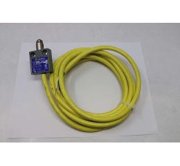 LIMIT SWITCH: ROLLER PLUNGER 10A