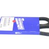 CARRIER TRANSICOLD ALTERNATOR/COMPRESSOR BELT