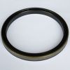 CASE AFTERMARKET SEAL