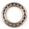 FAG BEARING BALL BEARING - DEEP GROOVE RADIAL 290mm OD