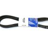 AC DELCO V-RIBBED BELT