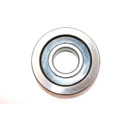 ROLLER BEARING MAST