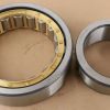 DANA CYLINDRICAL ROLLER BEARING 250MM OD