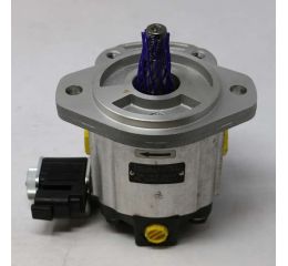 HYDRAULIC GEAR MOTOR