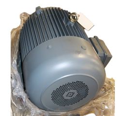 ELECTRIC MOTOR 75HP230/460V 60Hz 365T