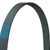 DAYCO V-RIBBED BELT