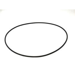 N1499 O-RING 11.975 ID 0.21 WI