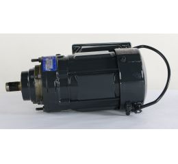 TWIN TWISTLOCK MOTOR