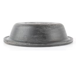 DIAPHRAGM TYPE 16 LS RTS