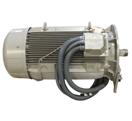 ELECTRIC MOTOR 220kW 460V 60Hz 315L