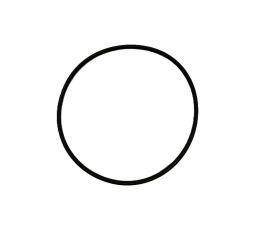 O-RING