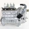 BOBCAT FUEL INJECTION PUMP