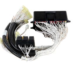 FUSE BOX AND HARNESS