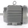 VIKING PUMP ELECTRIC MOTOR 1 HP 208-230/460V 60Hz 3PH 145T