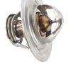 TEREX THERMOSTAT