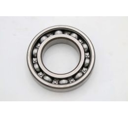 BALL BEARING - DEEP GROOVE RADIAL 100mm OD