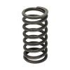 CASE AFTERMARKET SPRING