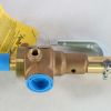 APOLLO RELIEF VALVE_65PSI_050P_AN