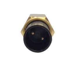 PLUNGER SWITCH