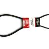 SCHWARZE V-BELT