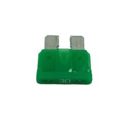 FUSE 30A STYLE 257