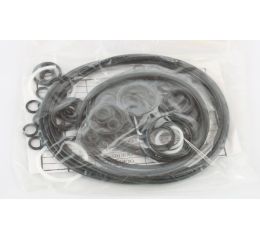 SEAL REPAIR KIT - MAIN PUMP