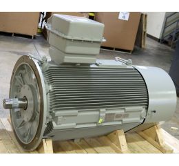 ELECTRIC MOTOR 250kW 3300V 50Hz 3 PHASE