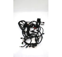 ECM WIRING HARNESS