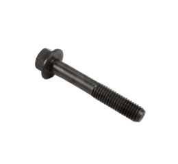 FLANGE SCREW