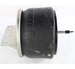 AIR SPRING 9 9-10 P 862